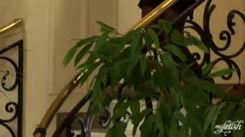 A Secretary and Her Boss Screencap 6 on sinx.preview.netperv.com