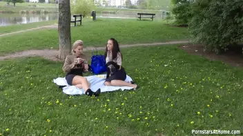 Eurobabes Know How To Have A Picnic Screencap 5 on sinx.preview.netperv.com