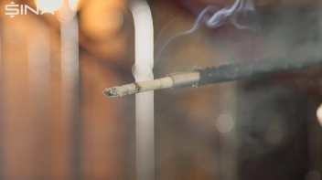 Seductive Babe With Red Lips Enjoys Smoking Screencap 24 on sinx.preview.netperv.com