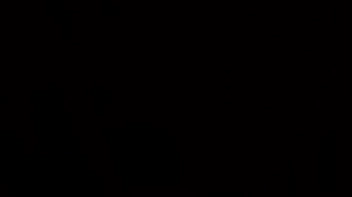 Full, Unquestioned Compliance Required! Screencap 105 on sinx.preview.netperv.com