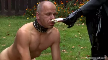 Femdom Tyrannizes Two Man Slaves Screencap 43 on sinx.preview.netperv.com