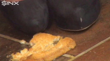 Brunette Babe Crushes Food And Licks Toes Screencap 14 on sinx.preview.netperv.com