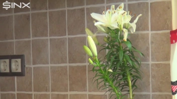 Brunette Babe Crushes Food And Licks Toes Screencap 1 on sinx.preview.netperv.com