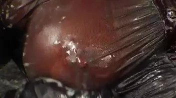 Drizzled Debauchery Screencap 71 on sinx.preview.netperv.com