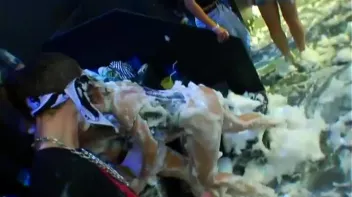 Bangstas Paradise Part 5 - Cam 3 Screencap 52 on sinx.preview.netperv.com