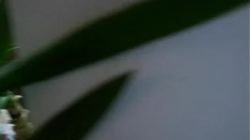 Wedding Celebration Part 6 - Cam 1 Screencap 59 on sinx.preview.netperv.com