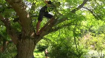 Golden Afternoon Summer Showers Screencap 2 on sinx.preview.netperv.com