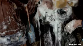 One Stop WaM Shop Screencap 94 on sinx.preview.netperv.com