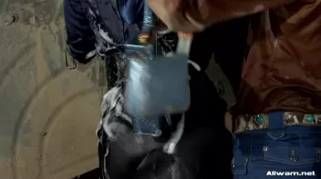 One Stop WaM Shop Screencap 45 on sinx.preview.netperv.com