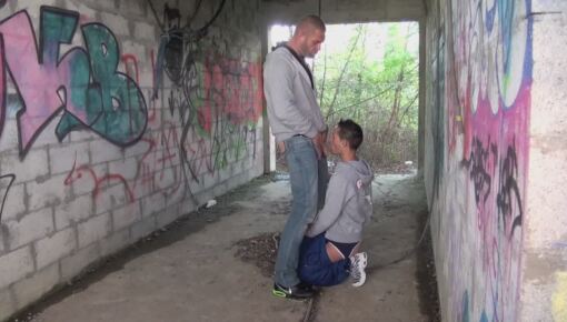 Latest deal - EDDY french twink used by bear flat in exhib outdoor place