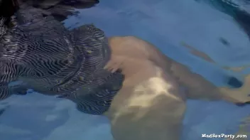 Cougar Crew Part 3 Screencap 54 on sinx.preview.netperv.com