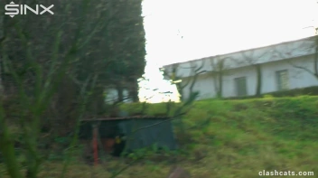 Sexy Babes Rip Clothes in Heated Catfight - Cam 1 Screencap 23 on sinx.preview.netperv.com