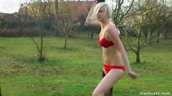 Sexy Babes Rip Clothes in Heated Catfight - Cam 1 Screencap 49 on sinx.preview.netperv.com