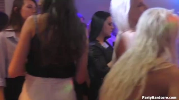 Party Hardcore Gone Crazy Vol. 41 Single Cut: Part 6 - Cam 2 Screencap 41 on sinx.preview.netperv.com