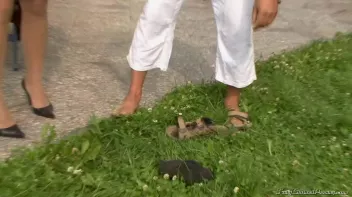 The Piss Quality Check Screencap 5 on sinx.preview.netperv.com