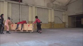 Analfotze mit dem Spekulum genau untersucht Screencap 6 on sinx.preview.netperv.com