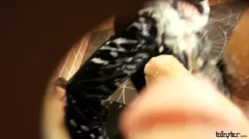 Keeping The Party Going With Some Slimy Fucking Screencap 49 on sinx.preview.netperv.com