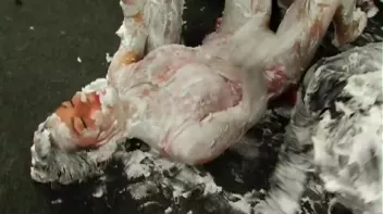 Shaving Cream Shenanigans Screencap 61 on sinx.preview.netperv.com