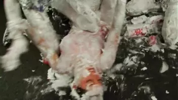 Shaving Cream Shenanigans Screencap 62 on sinx.preview.netperv.com