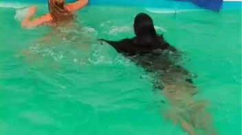 Play Fighting Turns Serious In The Pool Screencap 13 on sinx.preview.netperv.com