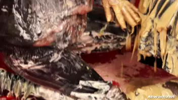 Gina's Bakery Of Eurobabe Destruction! Screencap 45 on sinx.preview.netperv.com