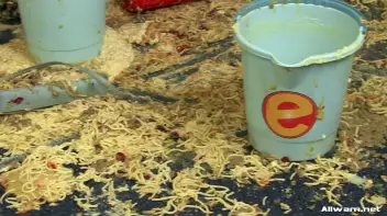 Slop Queens Screencap 107 on sinx.preview.netperv.com