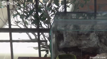 Smoking Mistress' Cute Cum Play Screencap 1 on sinx.preview.netperv.com