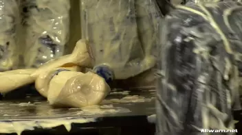 All Purpose Eurobabe Cream Infomercial Screencap 74 on sinx.preview.netperv.com