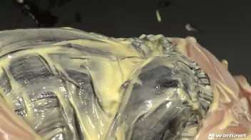 All Purpose Eurobabe Cream Infomercial Screencap 76 on sinx.preview.netperv.com