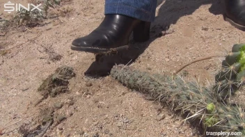 Denim Clad Babe Tramples On Cactus In The Desert Screencap 22 on sinx.preview.netperv.com