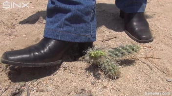 Denim Clad Babe Tramples On Cactus In The Desert Screencap 28 on sinx.preview.netperv.com