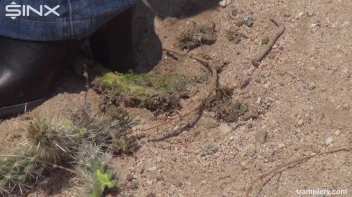 Denim Clad Babe Tramples On Cactus In The Desert Screencap 32 on sinx.preview.netperv.com