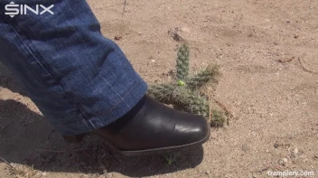 Denim Clad Babe Tramples On Cactus In The Desert Screencap 9 on sinx.preview.netperv.com