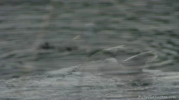 The Replacement Menu Screencap 1 on sinx.preview.netperv.com