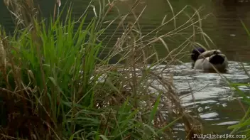 The Replacement Menu Screencap 2 on sinx.preview.netperv.com