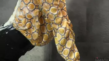 They Always Answer The Call Of The SlimeWave Screencap 44 on sinx.preview.netperv.com