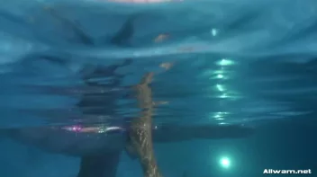 You Dropped My Purse In The Pool, Bitch! Screencap 87 on sinx.preview.netperv.com