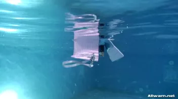 You Dropped My Purse In The Pool, Bitch! Screencap 5 on sinx.preview.netperv.com