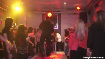 Party Hardcore Gone Crazy Vol. 2 Part 3 - Cam 1 Screencap 56 on sinx.preview.netperv.com