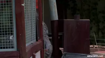 Pissed Off Pool Babes Go At It Screencap 103 on sinx.preview.netperv.com