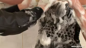 Fully Clothed Wetlook Shower Bunnies Screencap 58 on sinx.preview.netperv.com