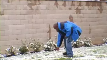 Let Your Boner Do the Talking! Screencap 5 on sinx.preview.netperv.com