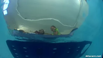 Sexy Pool Bunnies Wet And Messy Fun Screencap 89 on sinx.preview.netperv.com