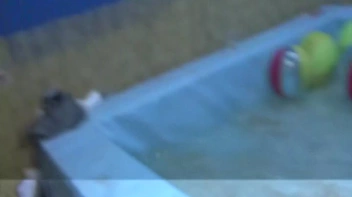 Party Hardcore Vol. 55 Part 6 - Cam 1 Screencap 26 on sinx.preview.netperv.com