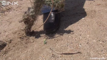 Denim Clad Babe Tramples On Cactus In The Desert Screencap 20 on sinx.preview.netperv.com