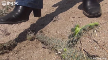 Denim Clad Babe Tramples On Cactus In The Desert Screencap 21 on sinx.preview.netperv.com