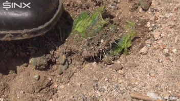 Denim Clad Babe Tramples On Cactus In The Desert Screencap 41 on sinx.preview.netperv.com