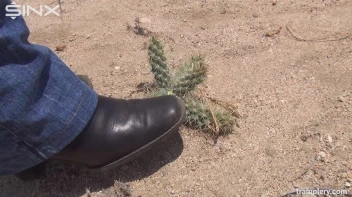 Denim Clad Babe Tramples On Cactus In The Desert Screencap 8 on sinx.preview.netperv.com