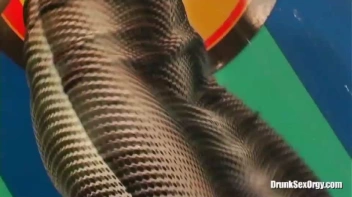 Euroslut Hotel Part 2 - Cam 4 Screencap 74 on sinx.preview.netperv.com