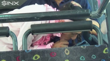 Pigtailed Cutie Sucks Cock On A Public Bus Screencap 27 on sinx.preview.netperv.com